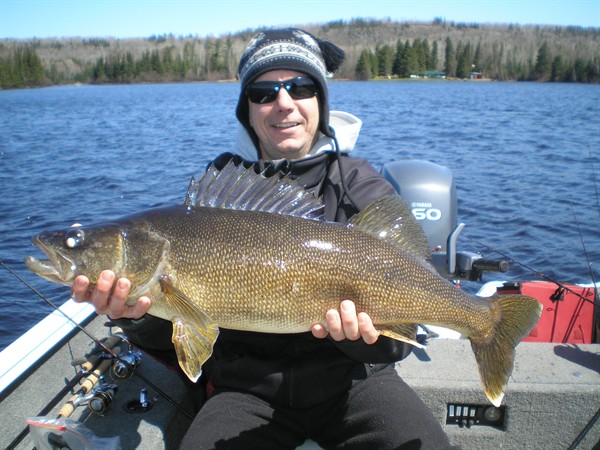 Early season walleye