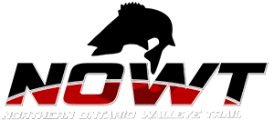 Northern Ontario Walleye Trail – NOWT Logo