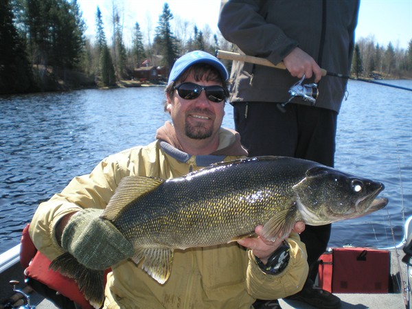 Tom's big walleye