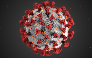 Virus